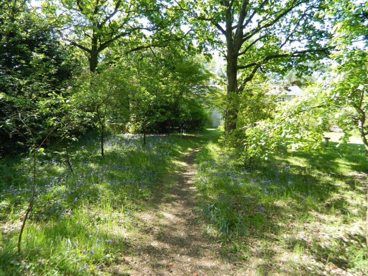 River Cottage A Country Retreat In Wooded Gardens East Stoke  Esterno foto