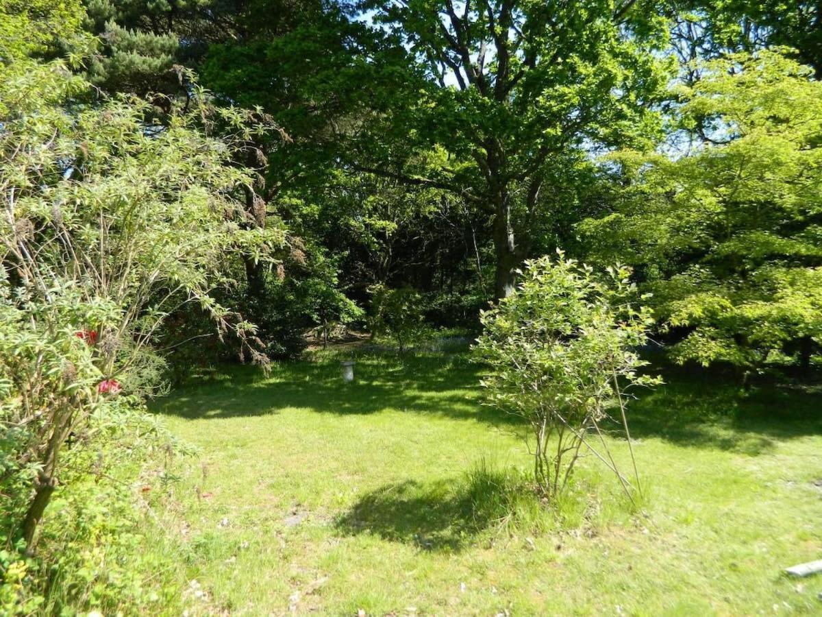 River Cottage A Country Retreat In Wooded Gardens East Stoke  Esterno foto