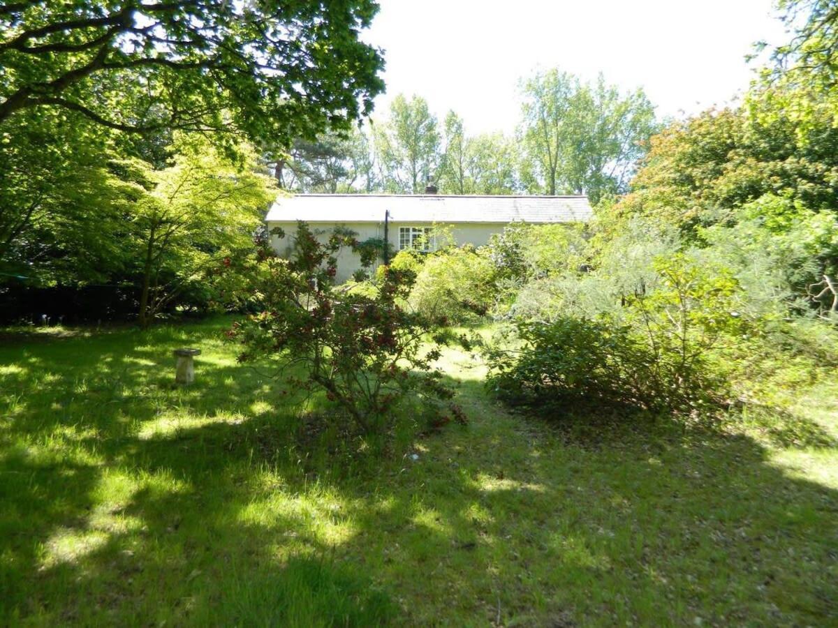River Cottage A Country Retreat In Wooded Gardens East Stoke  Esterno foto