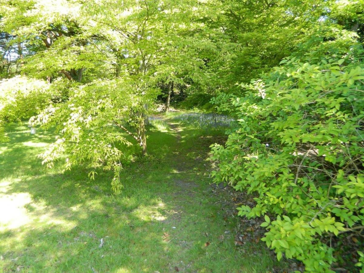 River Cottage A Country Retreat In Wooded Gardens East Stoke  Esterno foto