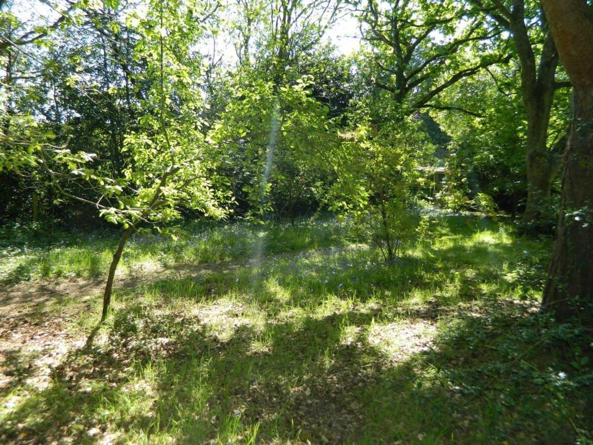 River Cottage A Country Retreat In Wooded Gardens East Stoke  Esterno foto